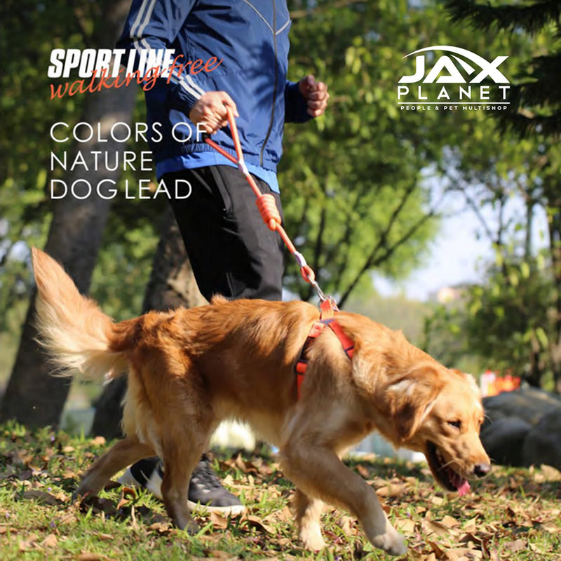 Dog Harness and Leash - Comfortable Leash and Harness for Small, Medium, Large Dogs - Perfect for Training, Includes D-Ring (S)HRN:Chest13.4~22.1/Neck12.2~20.5/LSH: 3.94 ft Harness+Leash:TiffanyBlue - PawsPlanet Australia