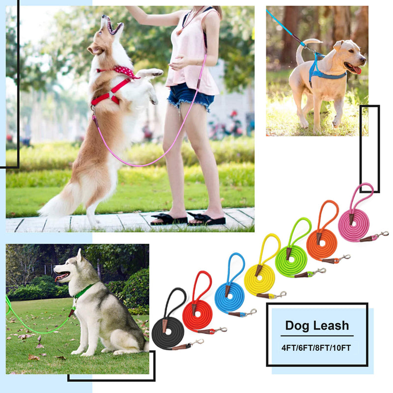 MayPaw 4/6/8/10 FT Dog Lead, Classic Solid Colours, Strong Nylon Rope Dog Lead Reinforced with Leather Tailor Connection Heavy Duty Silver Clasp (10ft*1/2", Orange) 10ft*1/2"