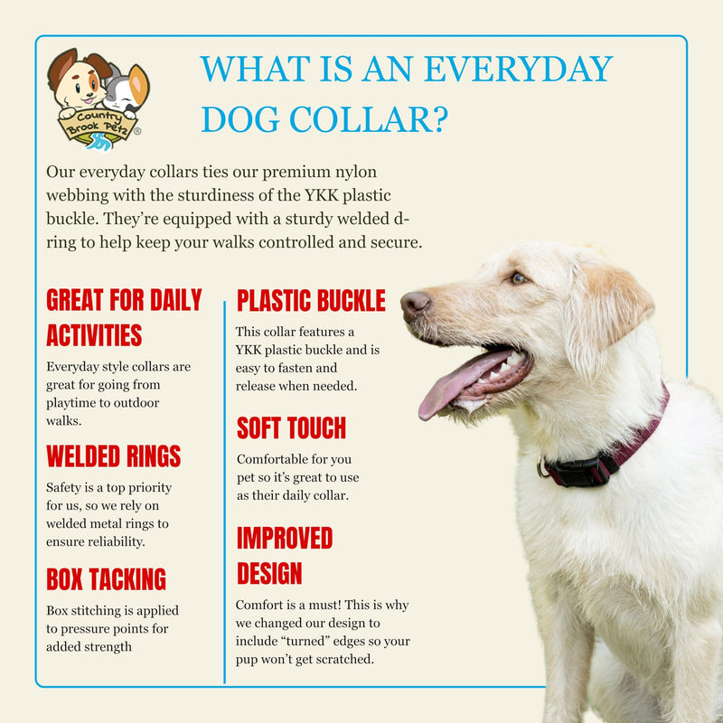 Country Brook Petz - Everyday Nylon Dog Collar for Large, Medium, and Small Dogs and Puppies - for Everyday Use in 10+ Warm Colors (Large, 1 Inch Wide, Burgundy) Large (Pack of 1)