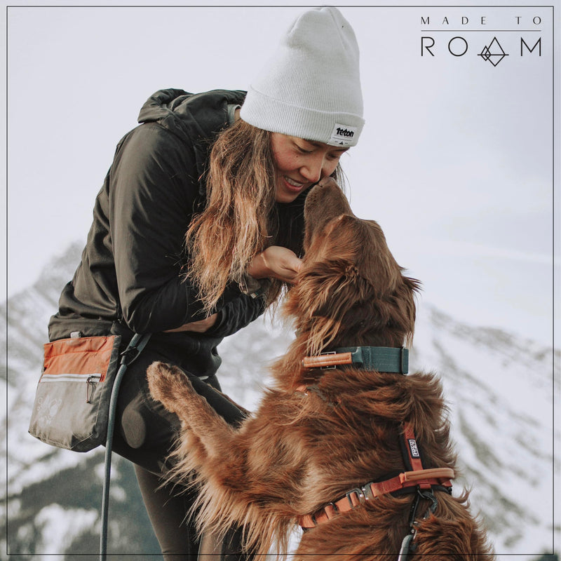 Premium Everyday Leash - Ultra Soft Dog Leash with Aviation Aluminum Carabiner for Small, Medium, Large Dogs - California Horizon, 6ft (Rubber Coated Metal Clamps) 6 Feet, Rubber Coated Metal Clamps - PawsPlanet Australia