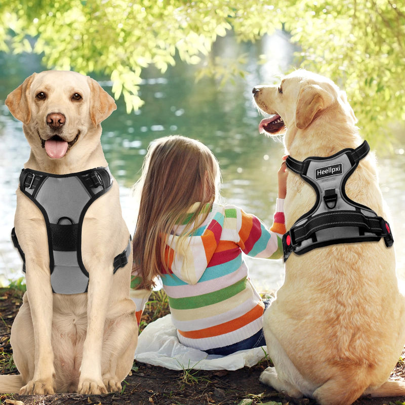 No Pull Dog Harness with A Free Heavy Duty 5FT Dog Leash, Adjustable Soft Padded Dog Vest with Easy-Control Handle, Reflective No-Choke Pet Oxford Vest for Medium Dogs (Grey,M) Grey - PawsPlanet Australia
