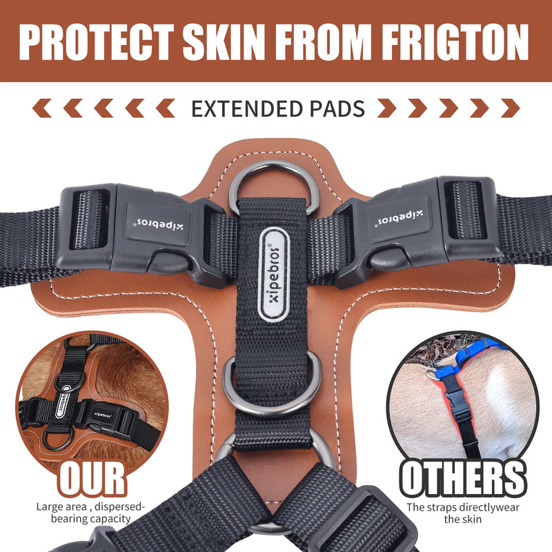 Dog Harness, no Pull Dog Harness with lesthe Pads,Ideal for Dog Walking and Training. Easy Walk Dog Harness for Small(Black, M), Medium Black - PawsPlanet Australia