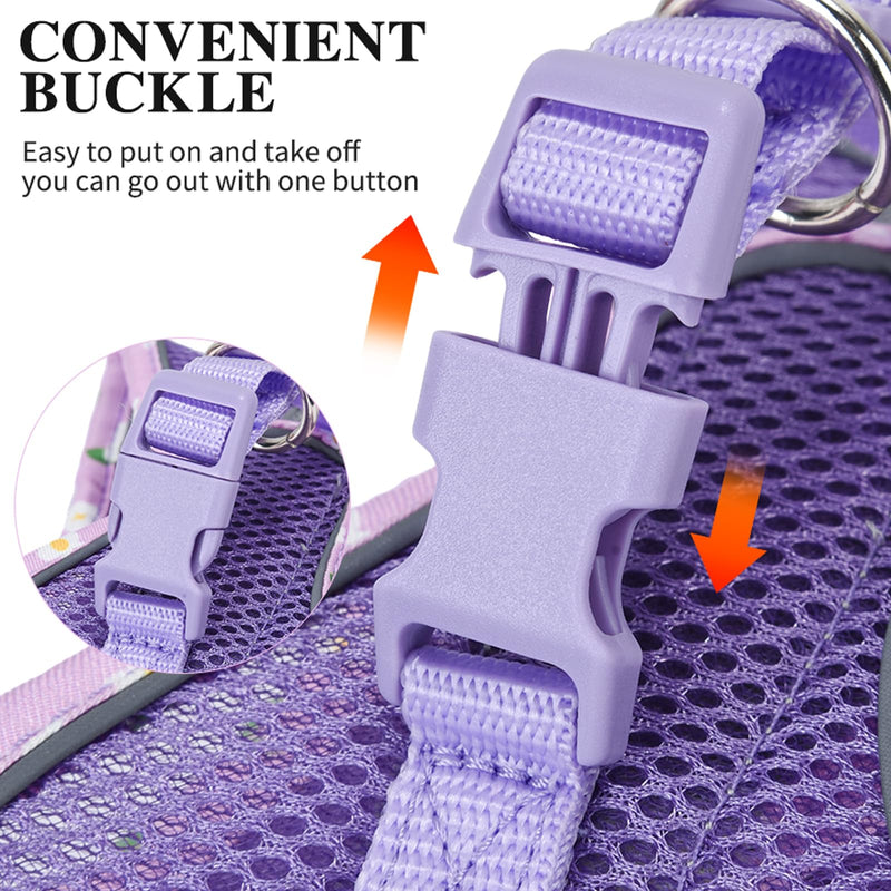 Petank Dog Harness for Small Medium Dogs No Pull, Puppy Harness and Leash Set, Mesh Adjustable Breathable Light Vest for Walking, Running, Training. (Purple, S) Purple - PawsPlanet Australia