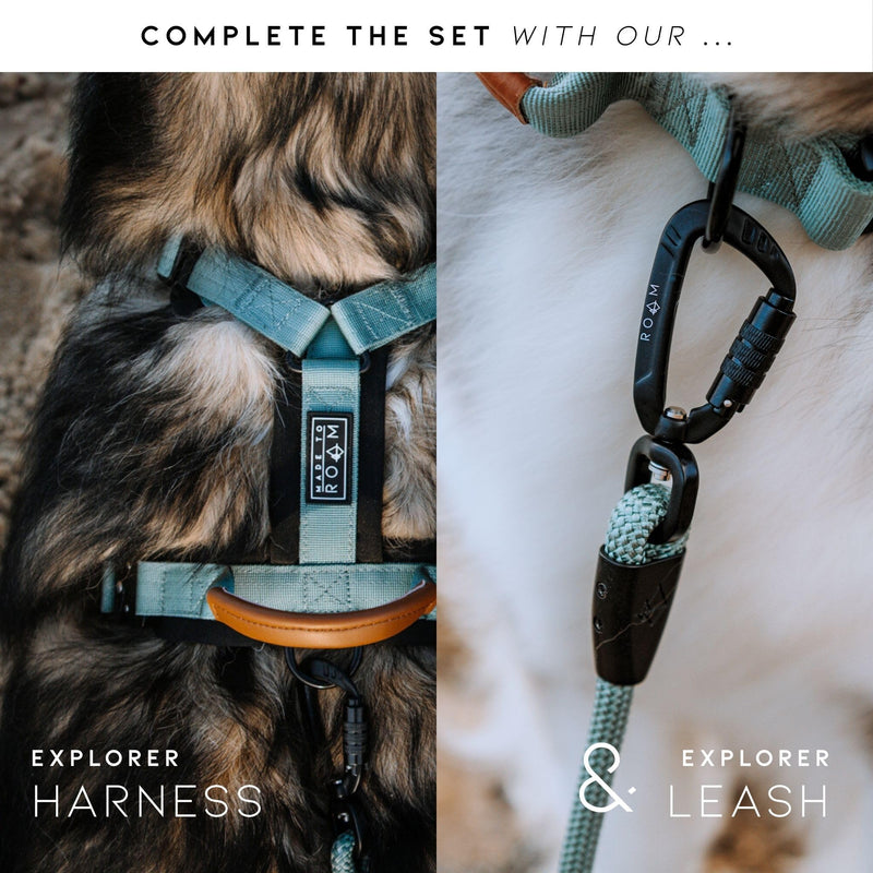 Made to ROAM Premium Dog Collar - Adjustable Heavy Duty Nylon Collar with Quick-Release Metal Buckle (Montana Moonrise, Classic Size 4) Montana Moonrise Classic 4 - PawsPlanet Australia