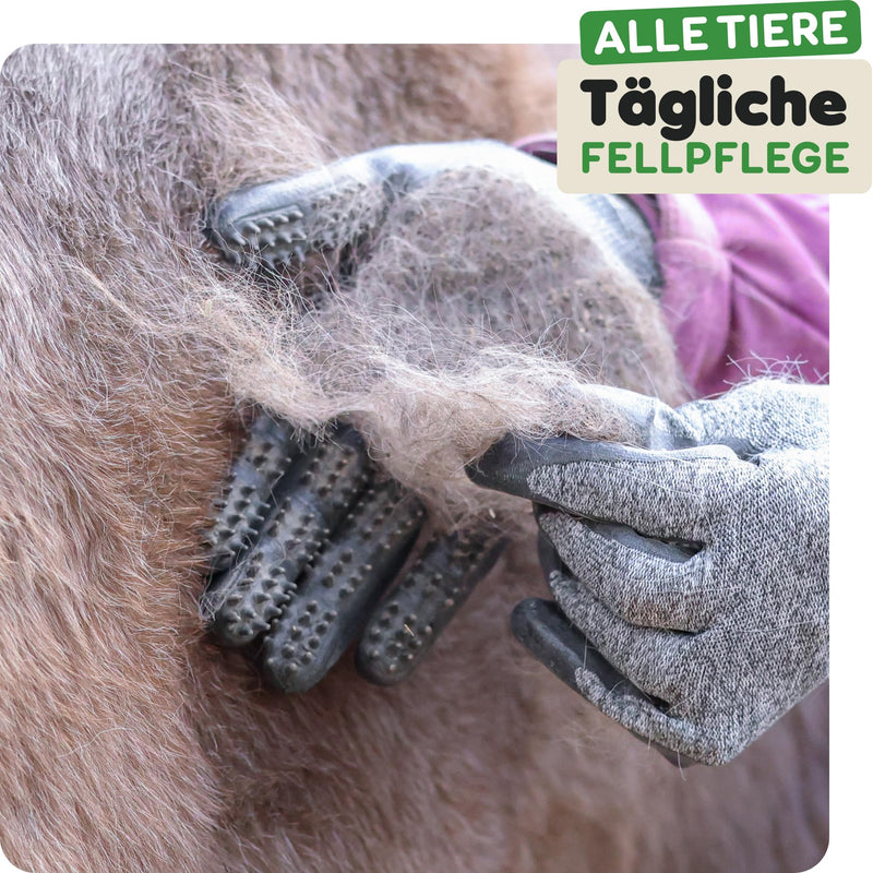 Dr. Zoo Professional grooming gloves; for any pet with short, medium and long hair; can be used as a dog/cat/horse brush or curry comb; grooming glove for removing cat/dog hair