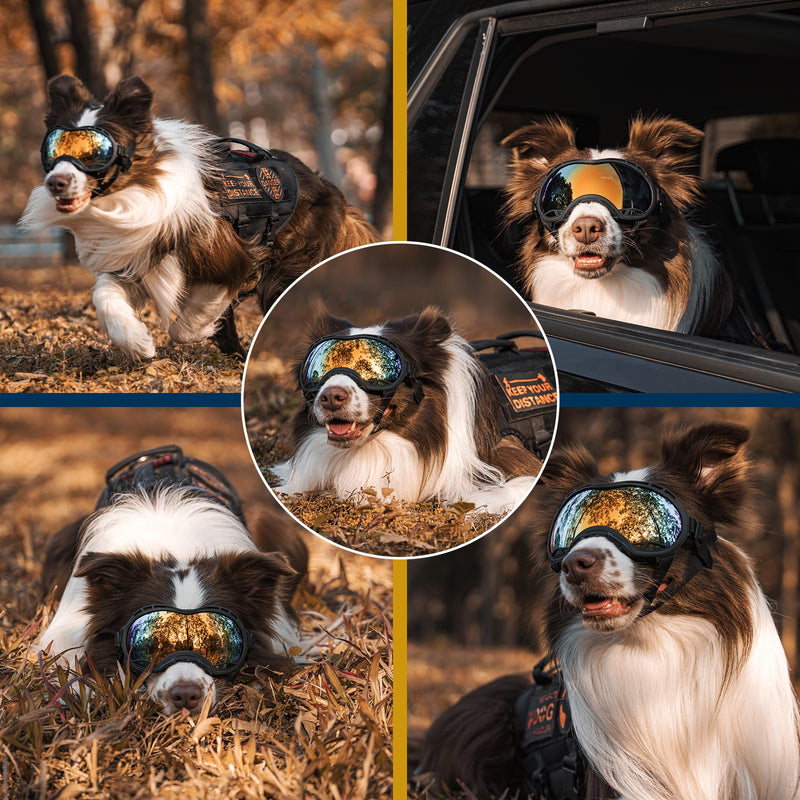 OneTigris Dog Goggles, Dog Sunglasses for Large Dogs with Adjustable Strap UV Protection, Windproof, Suitable for Medium Large Breed, Dogs Eyes Protection (Medium) - PawsPlanet Australia