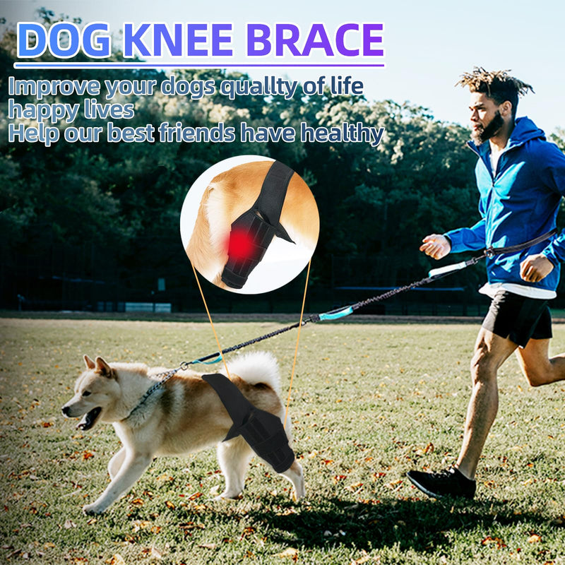 Dog Knee Brace for Support with Cruciate Ligament Injury, Joint Pain and Muscle Sore Size: XXXXL - PawsPlanet Australia