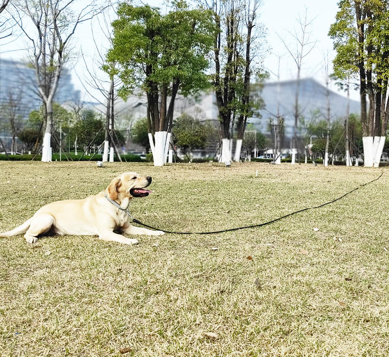 Tie Out Rope Dog Leash, 8-10-13-15-20-25-30-35-40-45-50 FT Heavy Duty Nylon Check Cord for Medium Large Dogs Indoor/Outdoor Playing Camping Backyard (Black, 3/8" x 30ft) black - PawsPlanet Australia
