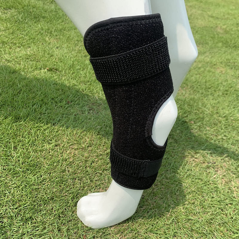 Dog Knee Braces for Hind Leg,Dog Hind Leg Orthotics for Dogs with ACL Kneecap Dislocation, Arthritis, Dog Hind Leg Orthosis Attachment Strap for (M)