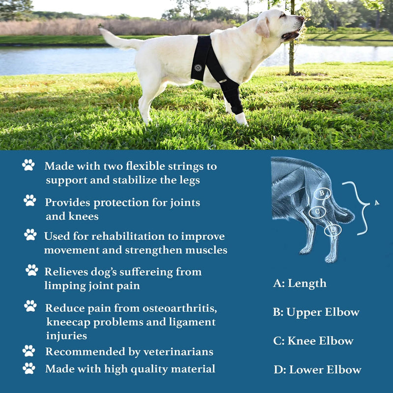 Large Breathable Dog Knee Brace for Torn ACL Legs - Easy to Use, Neoprene Dog Leg Braces for Back Leg - ACL Brace for Dogs, Helps Reduce Pain and Heal Injuries - PawsPlanet Australia
