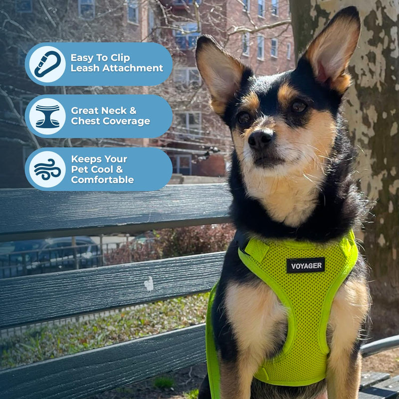 Voyager Step-in Lock Dog Harness w Reflective Dog Leash Combo Set with Neoprene Handle 5ft - Supports Small, Medium and Large Breed Puppies/Cats by Best Pet Supplies - Lime Green, XS Harness Leash Set (Lime Green) XS (Chest: 13 - 16" * Fit Cats) - PawsPlanet Australia