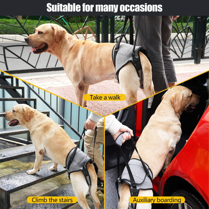 HDKUW Dog Lifting Harness,Dog Hind Legs Support Strap, Pet Portable Recovery Walking Training Lift Strap with Handle for Elderly Injured Amputation Disabled Dogs (XL) XL:Waist 24"-29" - PawsPlanet Australia