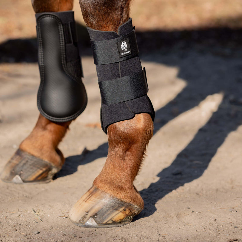 Equinavia Balder Brushing Boots for Horses – Full-Coverage Neoprene Leg Protection – Durable Strike Pad – Easy Care – Sizes S to XL - Black - M