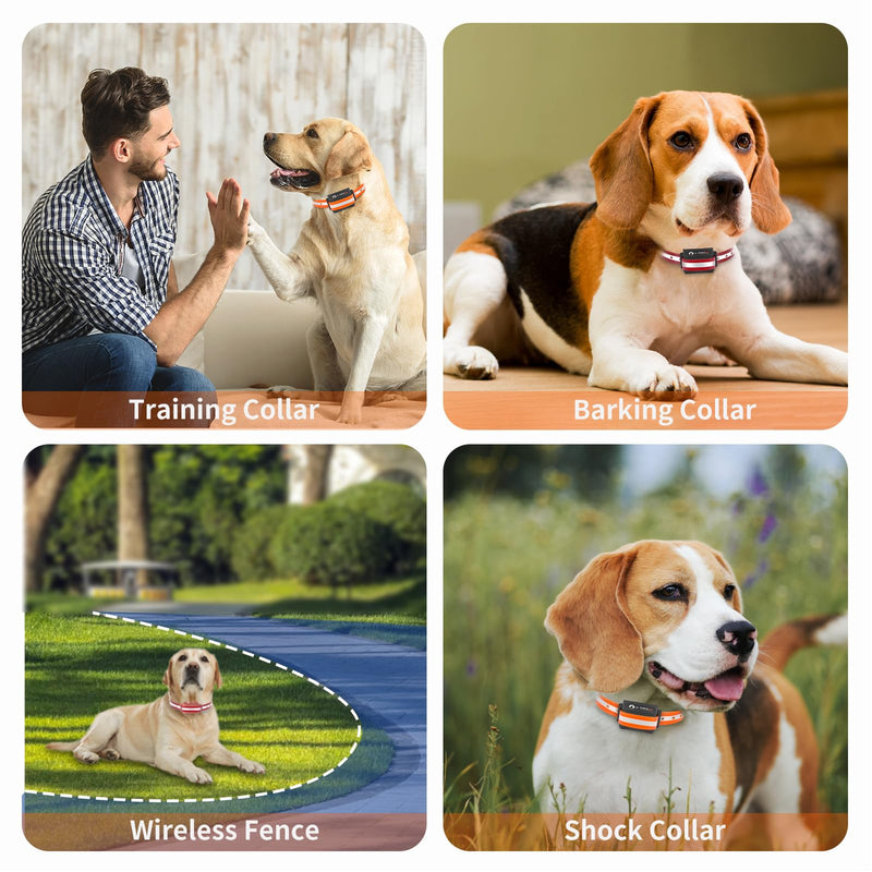 PaiPaitek Shock Collar Replacement Strap for Most of Training Collar, 3/4 Inch Dog Collar Replacement for Wireless Fence and Bark, Adjustable Reflective TPU Collar Strap - 2 Pack TPU Reflective Red and Orange - PawsPlanet Australia