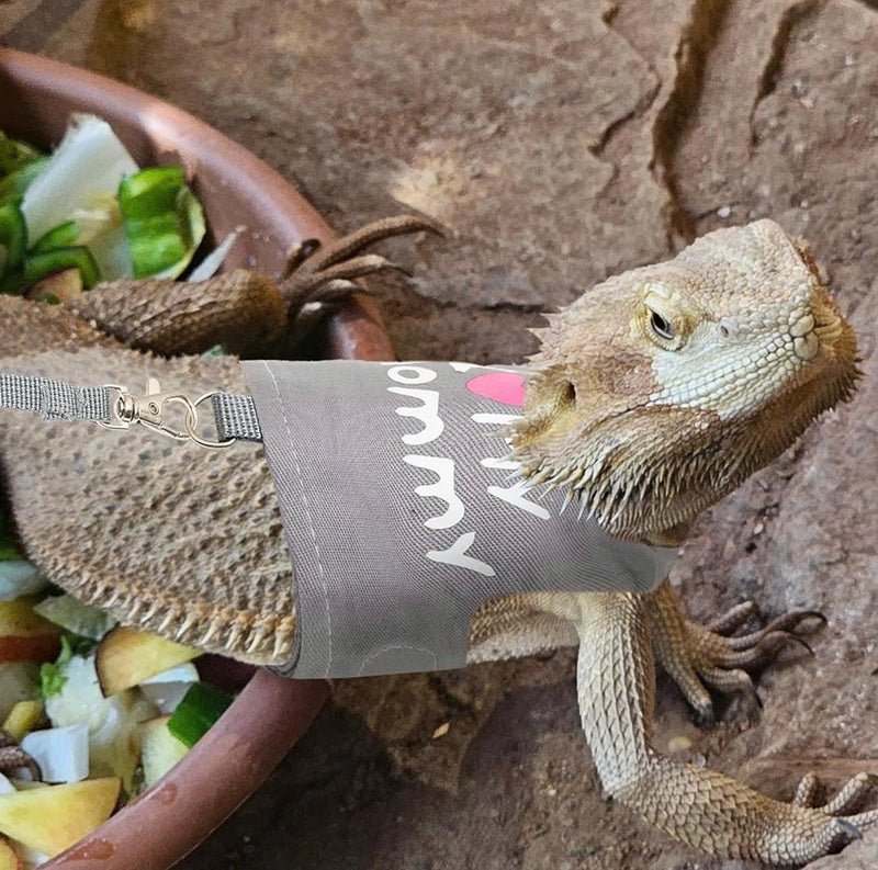 Bearded Dragon Harness and Leash Set - Adjustable Reptile Harness with Cute Design for Small Animals | Comfortable Outdoor Walking Gear for Lizards - PawsPlanet Australia