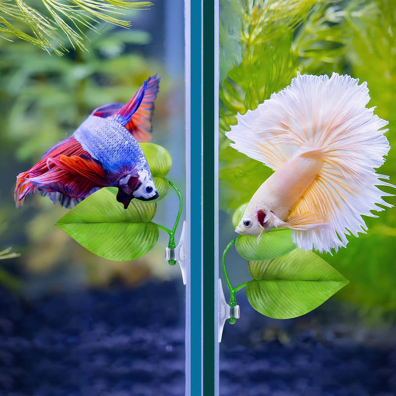 Betta Fish Tank Decorations Aquarium Decor,2 PCS Betta Fish Leaf Hammock,Beta Fish Toy for Sleeping Resting Hiding Playing Breeding - PawsPlanet Australia