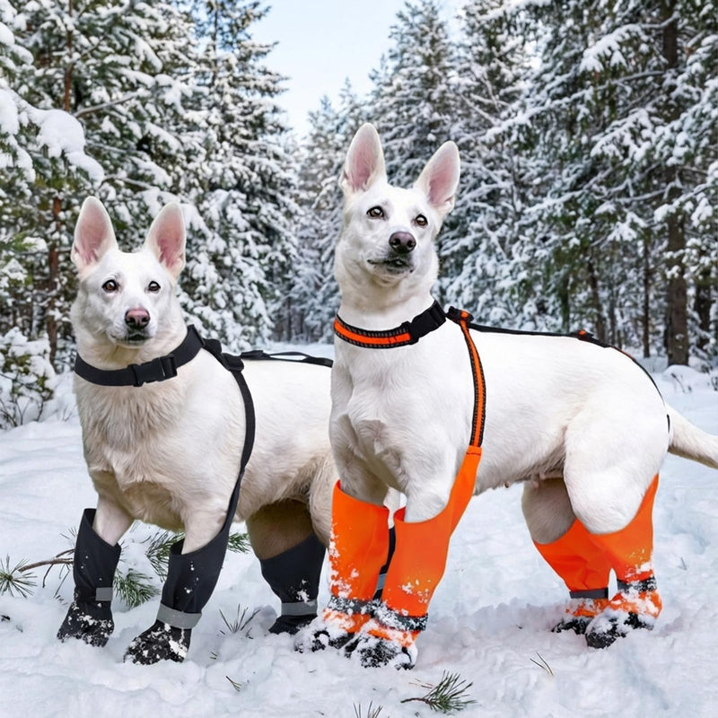 Dog Suspender Boots, Anti-Slip & Fall Waterproof Dog Shoes Leggings, Dog Paw Protector for Small Medium Dogs, Adjustable Dog Boots Pet Shoes for Outdoor Walking S Orange