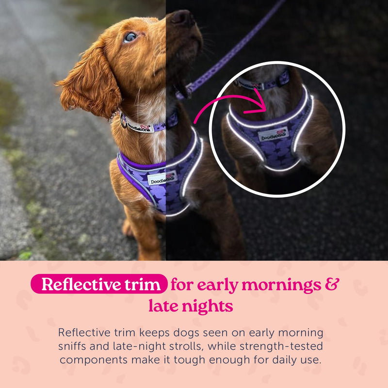 Doodlebone – Snappy Harness Dog Harness – Easy Step In Vest Style Harness, No Over Head Fit, Reflective & Machine Washable for Puppies and Small Dogs – Size 3, 46-52cm - Coal - PawsPlanet Australia