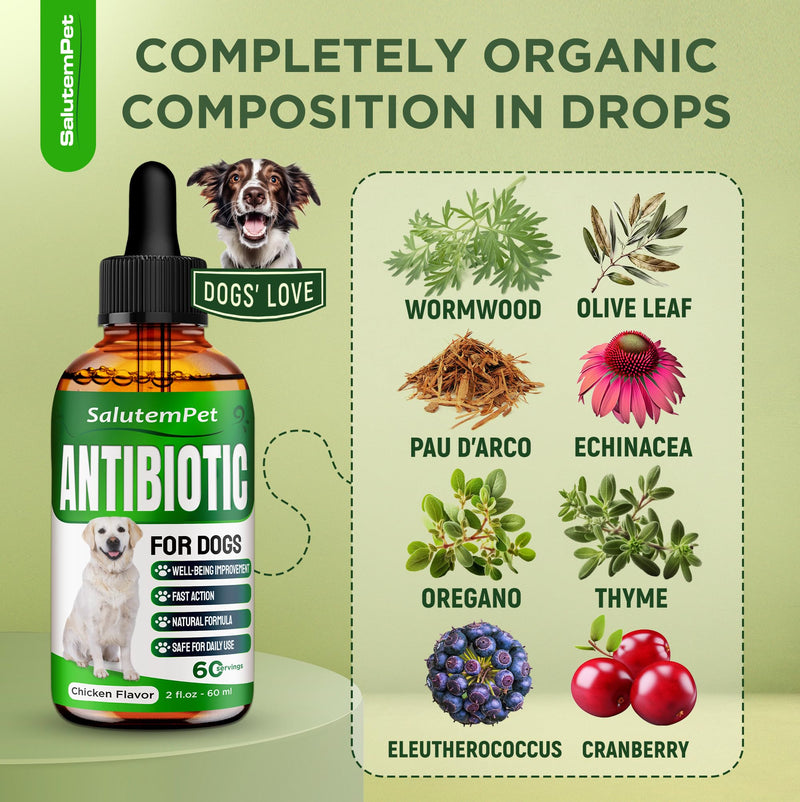 Natural Antibiotics for Dogs | Dog Antibiotics | Supports Dog Allergy Relief | Dog Itch Relief | Dog Allergy Support | Dog Multivitamin | Pet Antibiotics | Dog Antibiotics | 2 Oz Chicken - PawsPlanet Australia