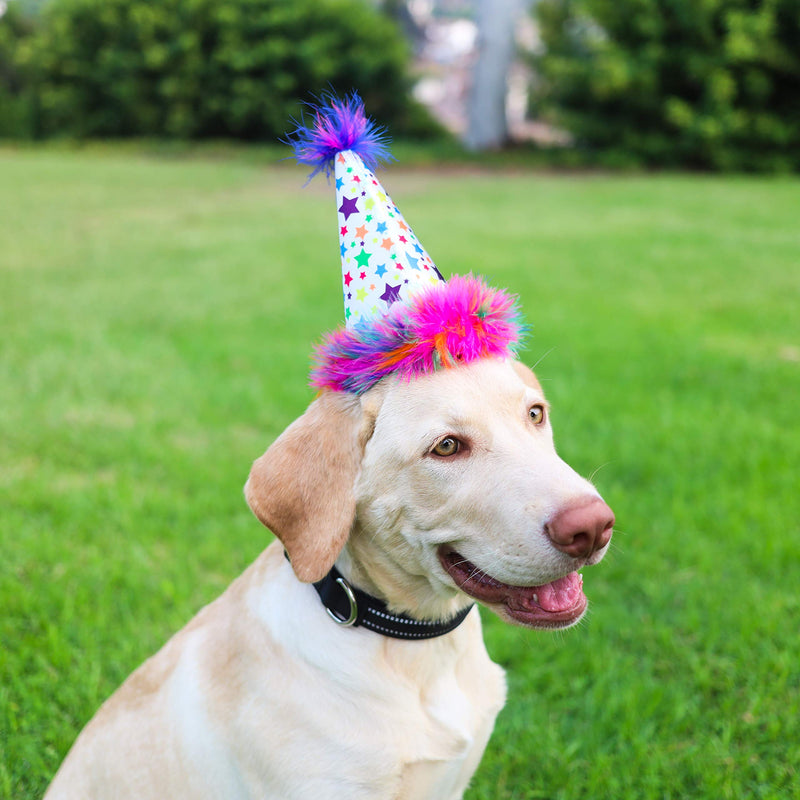 Huxley & Kent Pet Party Hat | Superstar (Large) | Birthday Hat for Dogs and Cats | Adjustable Strap for Comfort and Stability | Perfect for Birthday Party, Adoption Celebration or Gotcha Day Large - PawsPlanet Australia