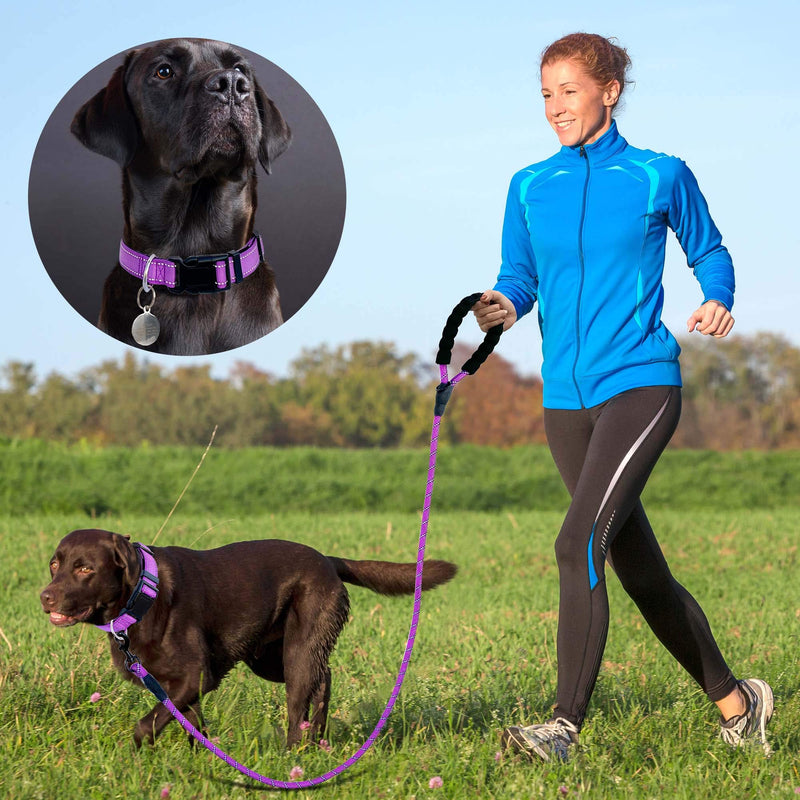 Reflective Dog Collar Padded with Soft Neoprene Breathable Adjustable Nylon Dog Collars for Small Medium Large Dogs (Small (Pack of 1), Purple Collar+Leash) Small (Pack of 1) - PawsPlanet Australia
