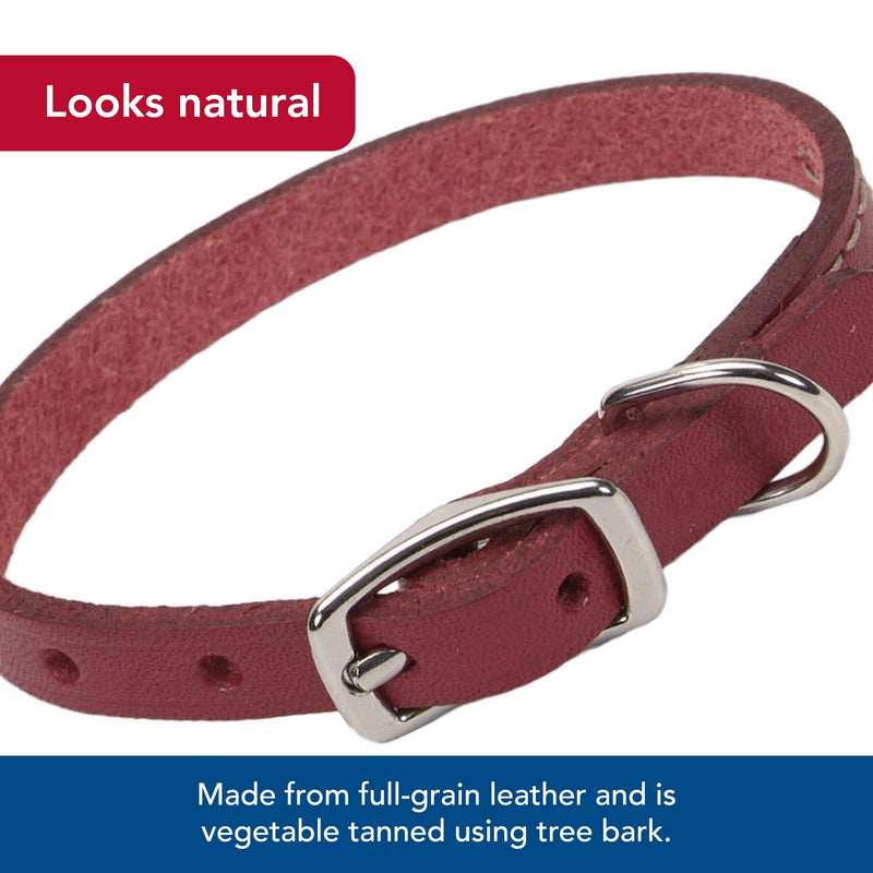 Coastal Pet - Circle T - Oak Tanned Leather Town Dog Collar, Red, 5/8" x 16" - PawsPlanet Australia