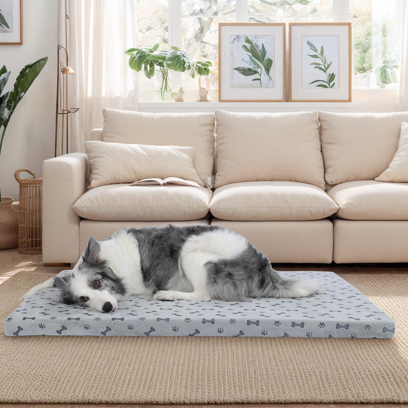 Fancy Dog Bed Mat Cute Dog Crate Pad, Reversible ＆ Machine Washable, Small to XXX-Large Dogs,Bones, Cat Claws (Grey, Medium(30x20in)) Grey Medium(30x20in) - PawsPlanet Australia