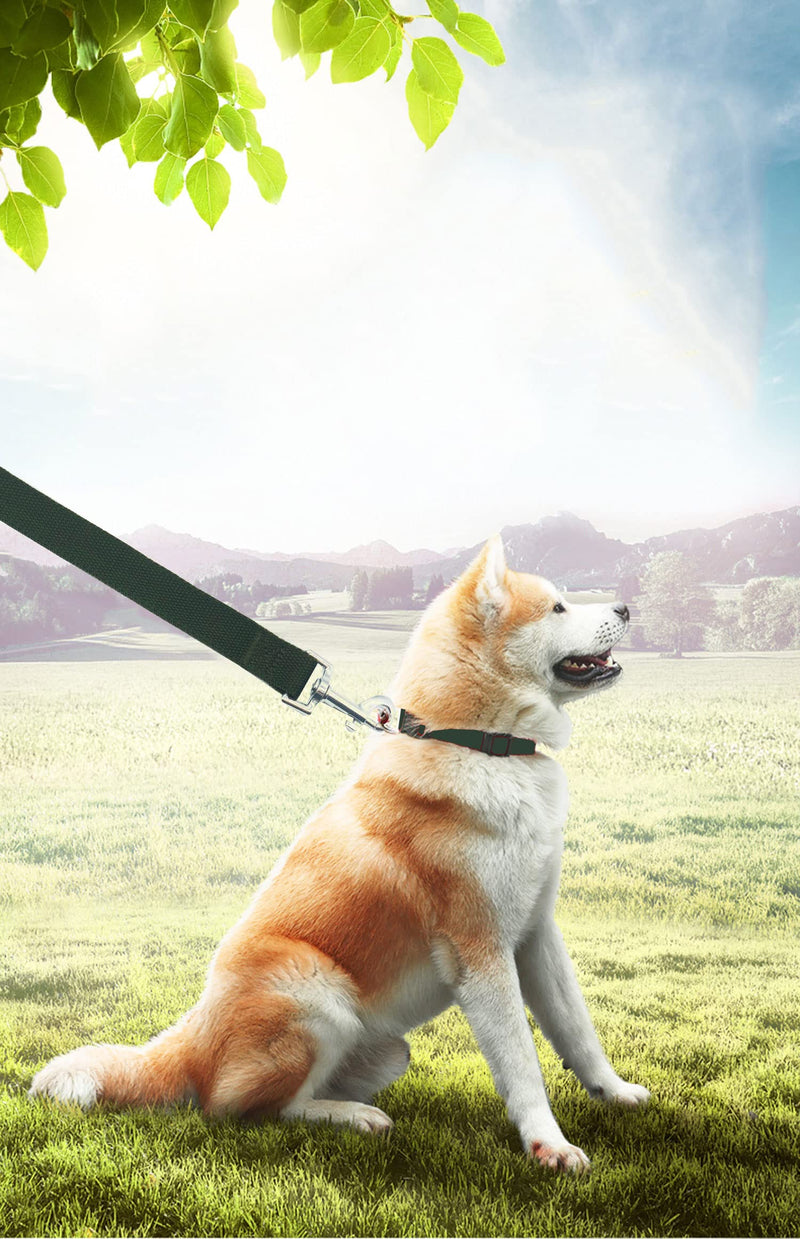 15ft 20ft 30ft 40ft 50ft Long Dog/Puppy Lead Obedience Recall Training Dog Leashes for Small Medium Dogs Camping, Training, Play, or Backyard (30 FT, Green) 30 FT - PawsPlanet Australia