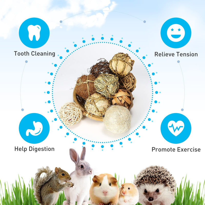 Small Animals Play Balls, Chew Grass Balls & Rolling Chew Toys for Bunny, Improve Pets Dental Health for Rabbit, Chinchilla, Guinea Pigs, Hamsters, Gerbils, Rats, Mice （9 Pieces） 9 pieces