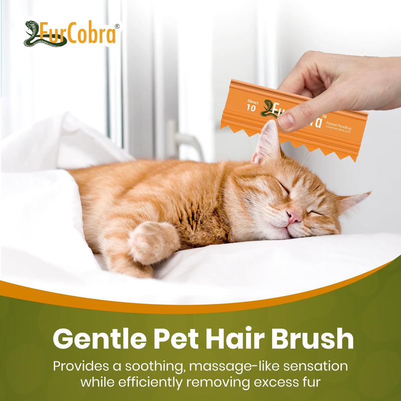 Direct 10 Pet Grooming Brush 3.54" - Gentle, No Metal Blades, Soft Dog, Cat Brush - Train Pets to be Brushed - Portable, Easy To Use Slicker Pet Grooming Tool for Dog, Cat, Puppy, Kitten Hair - PawsPlanet Australia