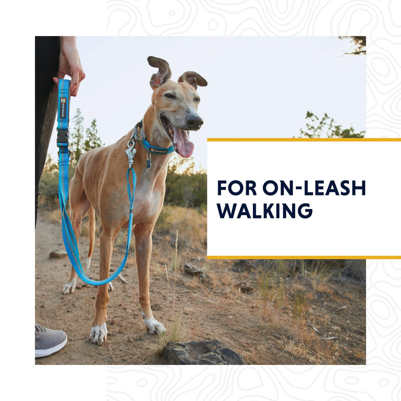 Ruffwear, Web Reaction Dog Collar, Escape-Proof Security Buckle, Adjustable Anti-Slip Martingale Collar with Durable Nylon Tubelok Webbing & Silent ID Attachment, Basalt Gray, 11"-14" 11"-14" - PawsPlanet Australia