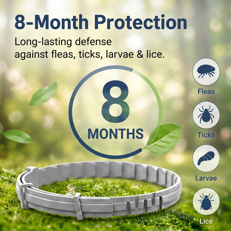 Craveit Cat Flea Collar, 2 Pack Flea Collar for Cats, Gentle Plant-Based Tick Repellent for cat, Waterproof & Adjustable, 8-Month Long-Lasting Defense