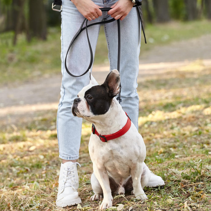 Dogline Biothane Waterproof Dog Leash Strong Coated Nylon Webbing with Black Hardware Odor-Proof for Easy Care Easy to Clean High Performance for Small or Large Dogs Made in USA 4 or 6 ft Lead W3/4" x L4' - PawsPlanet Australia