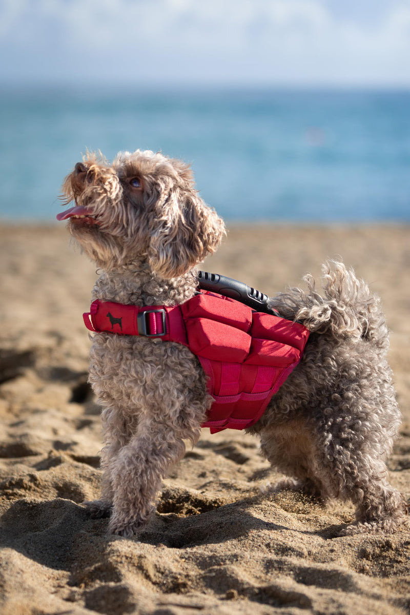 NOAH & PAW Dog Life Jacket, Human Standards Lifejacket Design, Dog Life Vest for Swimming and Boating, 3X Foam Support for Max Floating, Breathable Mesh, Salvavidas para Perros, Size XS 4 Cubes - PawsPlanet Australia