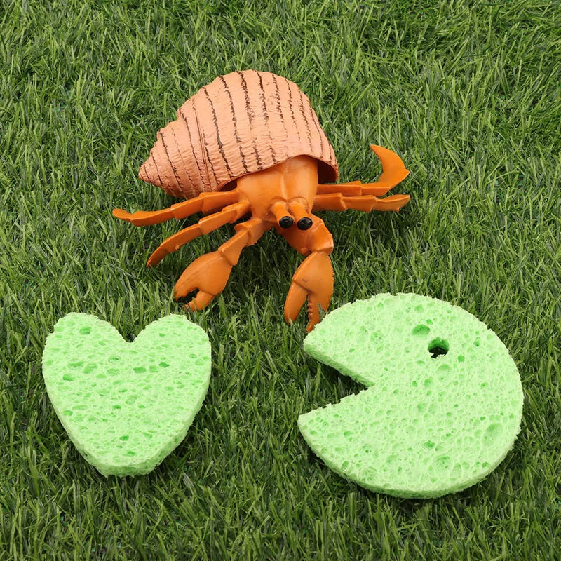 kcrygogo Hermit Crab Green Sponge Hermit Crab Accessories for Maintaining Hermit Crab Tank Humidity Supplies(10pcs) - PawsPlanet Australia