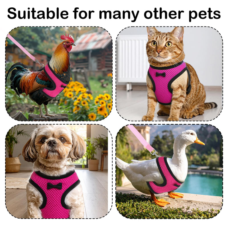 Chicken Harness with Leash Set, Upgraded Double Adjustable Mesh Breathable Chicken Training Harness, Pets Leash for 2.5-3.6 Lb Hens Duck Goose Small Pets Training Walking Supplies (Pink) - PawsPlanet Australia