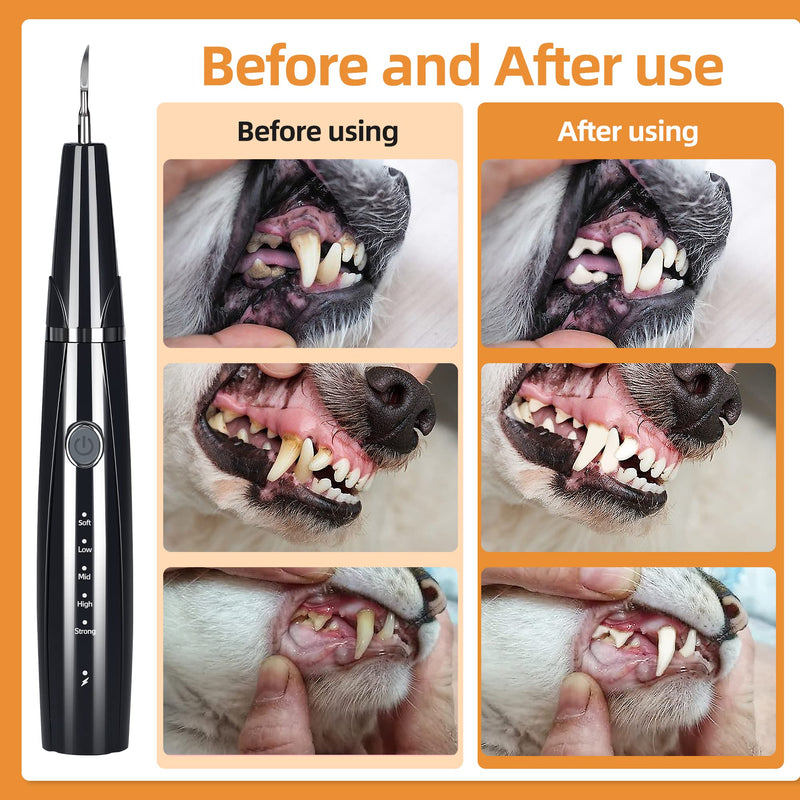 Ultrasonic Dog Plaque and Tartar Remover, Teeth Cleaning Kit for Pets, Rechargeable Dental Scraper for Pets, 5 Modes with 3 Cleaning Heads, with LED Light - PawsPlanet Australia