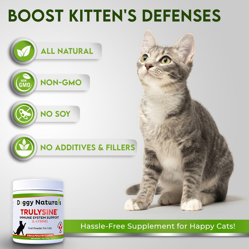 Trulysine L-Lysine for Cats Immune Support Oral Powder 4oz/100g - Cats & Kittens of All Age, Sneezing, Runny Nose Squinting, Watery Eyes - Fish & Poultry Flavor (U.S.A)(100 Grams ( 500mg / Scoop)) 100 Grams ( 500mg / Scoop)
