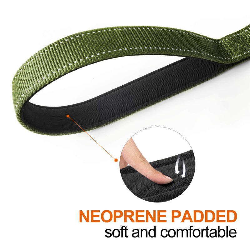 TwoEar 6FT 1IN Strong Green Dog Leash with 2 Padded Handles, Traffic Handle Extra Control, Comfortable Soft Dual Handle, Auto Lock Hook, Reflective walking Lead for Small Medium and Large Dogs 1 in x 6 ft