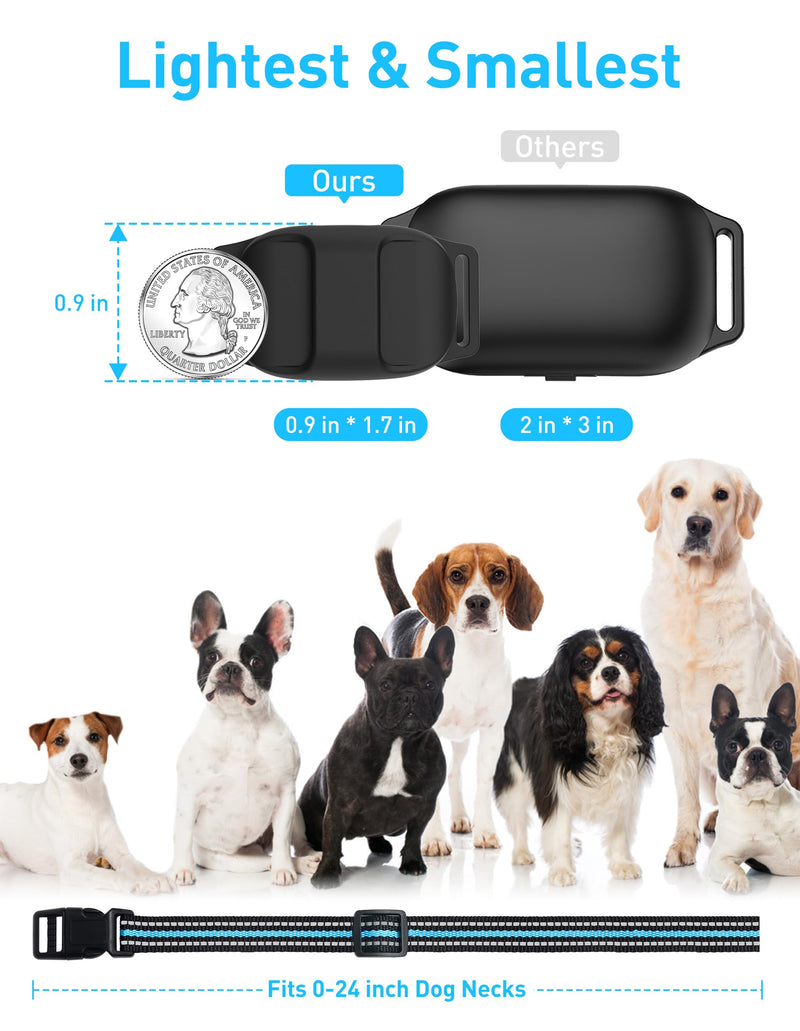 Small Dog Shock Collar, Tailored for Small Dogs 5-15lbs & Medium, Lightest Training Collar with Beep Vibration, Light for Night Walks, 3300Ft Rechargeable E Collar with Remote IPX7 Waterproof Black - PawsPlanet Australia