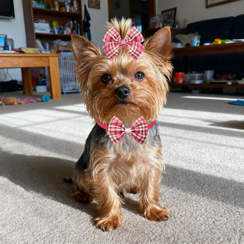 120PCS Dog Bows Plaid Bulk Include 20PCS Bowties with Adjustable Buckle 40PCS Hair Bows 60PCS Flowers and Bowties Attachments for Small Medium Cats Pets Grooming Accessories - PawsPlanet Australia