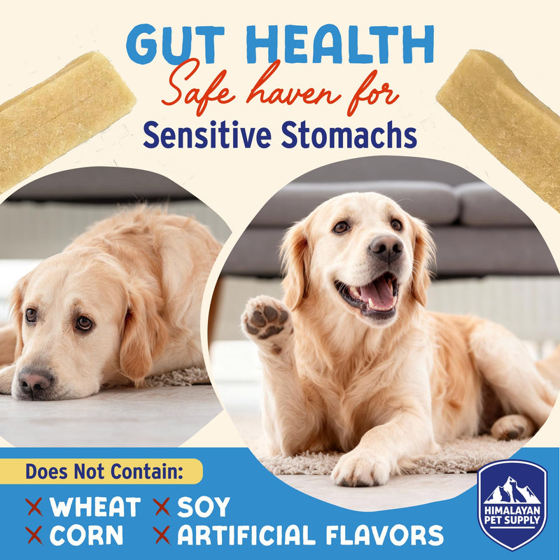 Himalayan Dog Chew Yogurt Sticks, Yogurt, Dog Treats with Prebiotics, Probiotics & Protein, Digestive Support, Lactose & Gluten Free, Natural Dog Treat for All Breeds, Made in America, 4pk 4.8 Ounce (Pack of 4) - PawsPlanet Australia