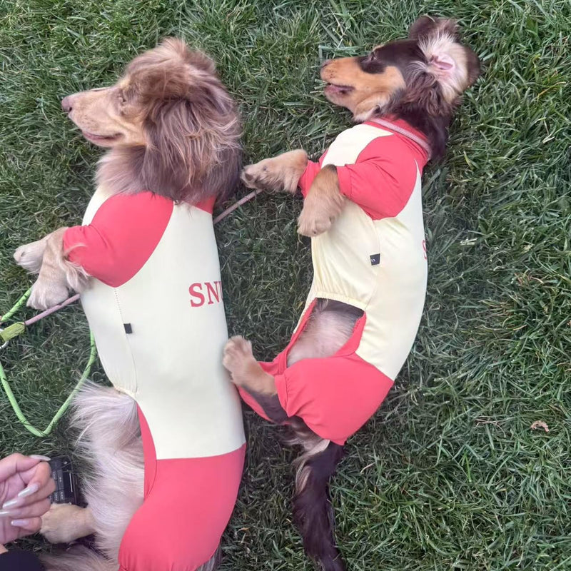 Dachshund Dog Cooling Summer Shirt, UPF50+ Four-Legged Sun Protection Clothes, Quick-Dry Summer Shirt for Dachshund and mini Dachshund (X-Small) X-Small - PawsPlanet Australia