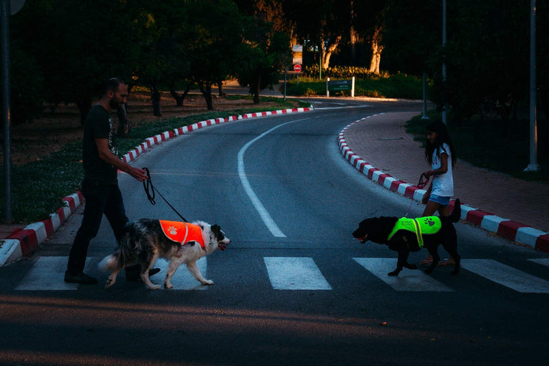 4LegsFriend Dog Safety Orange Reflective Vest with Leash Hole 5 Sizes - High Visibility for Outdoor Activity Day and Night, Keep Your Dog Visible, Safe from Cars & Hunting Accidents XL - PawsPlanet Australia