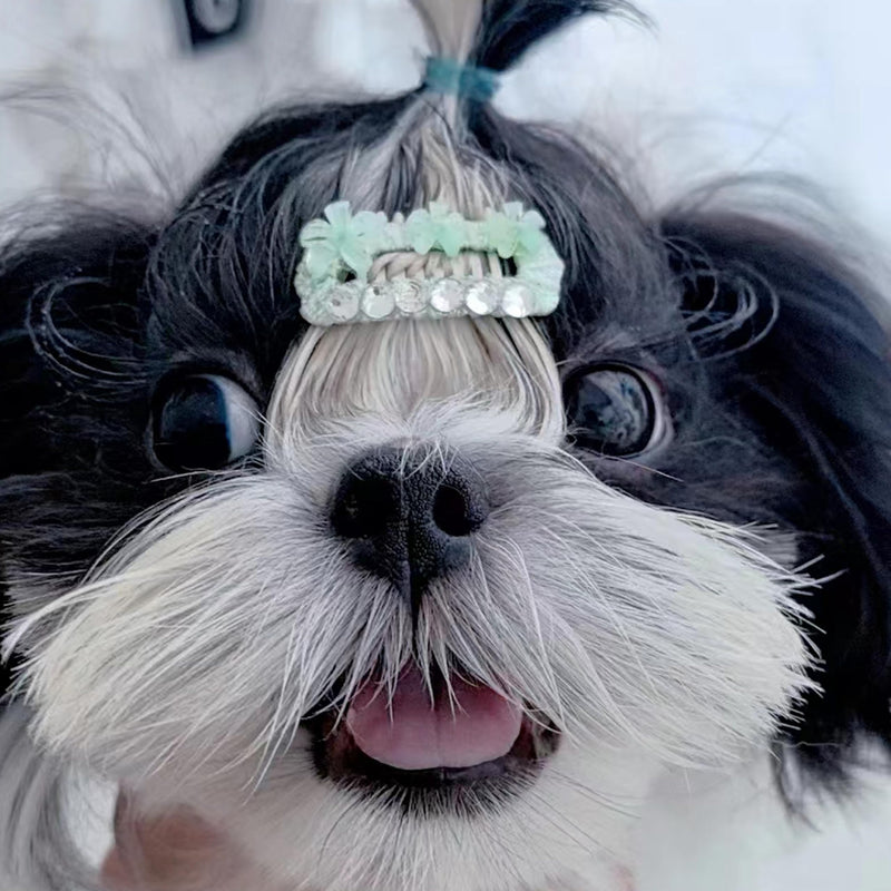 Pet Hair Styling Gel Eyelashes Nose Hair for Dogs, Cats, Schnauzer, Maltese, Long Hair Small Dogs - PawsPlanet Australia