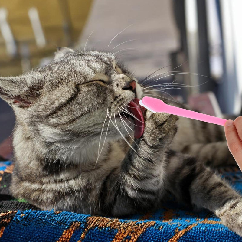 12Pcs Toothbrush for Dogs Small Breed,Dual Headed Pet Toothbrush,Dental Hygiene Soft Toothbrush to Clean Pet Teeth,Dog Tooth Brush for Small to Large Dogs, Cats, and Most Pets, 12 Color - PawsPlanet Australia