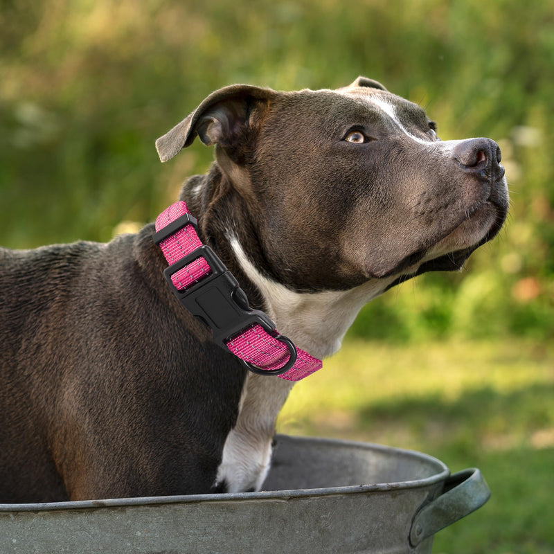 Mile High Life | Reflective Dog Collar Leash Set | Small Medium Dog Collar Leash Adjustable (Reflective Solid Pink, Large (Pack of 2)) Large (Pack of 2) Reflective Solid Pink - PawsPlanet Australia