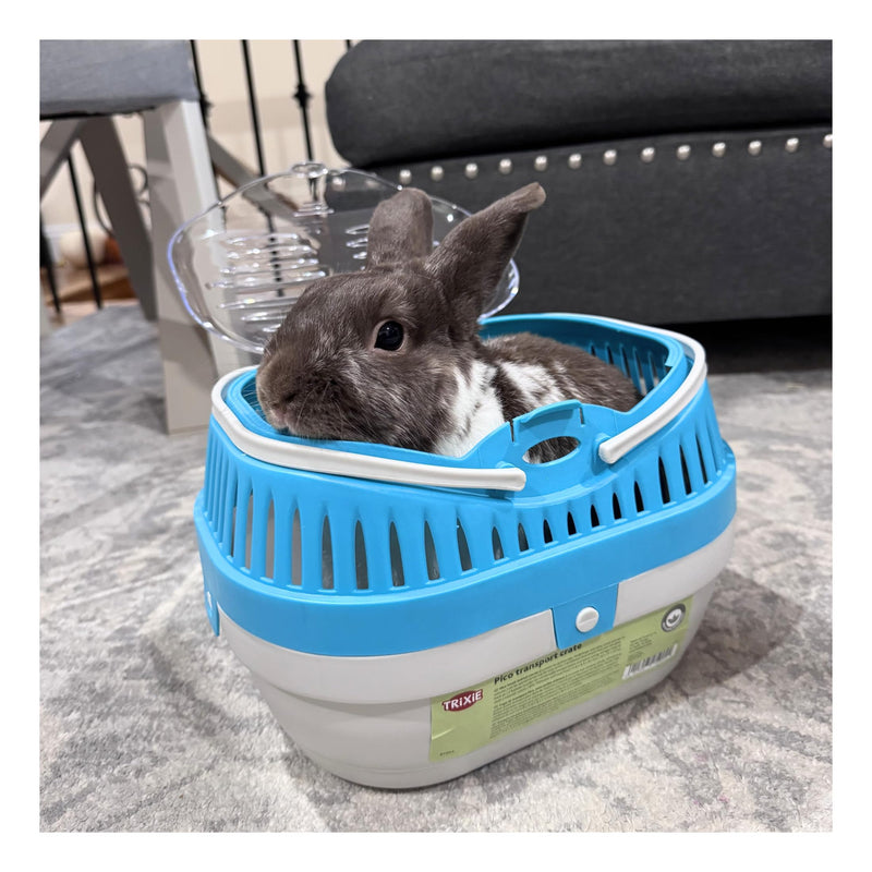 TRIXIE Pico Transport Crate, Small Pet Carrier, Portable Travel Carrier, for Small Pets, Hamsters, Guinea Pig, Lizards 11.8"L x 8.3"W x 9.1"H - PawsPlanet Australia