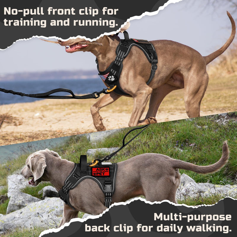 rabbitgoo Tactical Dog Harness Medium Sized Dog, No Pull Military Service Vest with Handle & Molle, Easy Control for Training Walking, Adjustable Reflective Straps, Black, M - PawsPlanet Australia