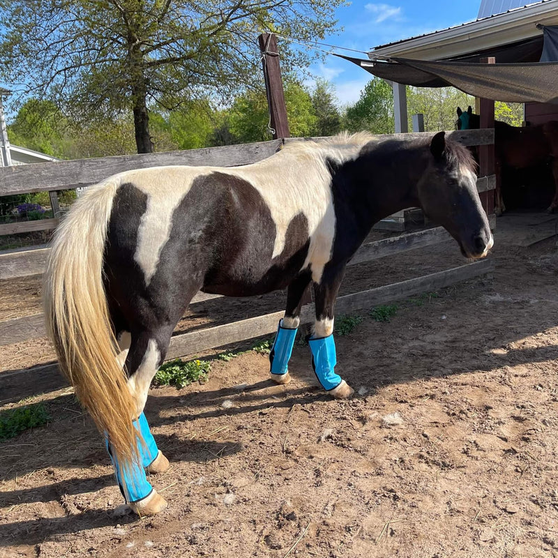 Horse Fly Boots, Fly Boots for Horses Set of 4, Breathable Mesh Horse Leggins Reduce Stomping & Foot Fatique Pet Supplies (4Pack/SkyBlue) SKyblue